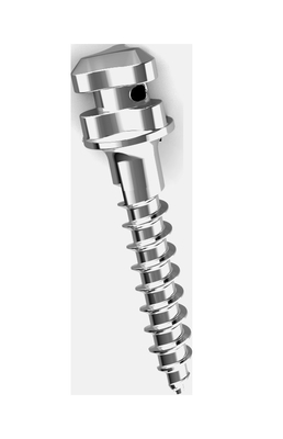 주문 웨스트레이크 정형형 미니 스크루 티타늄 합금 1.4x6 1.4x8 1.6x10 1.4x12 online manufacture
